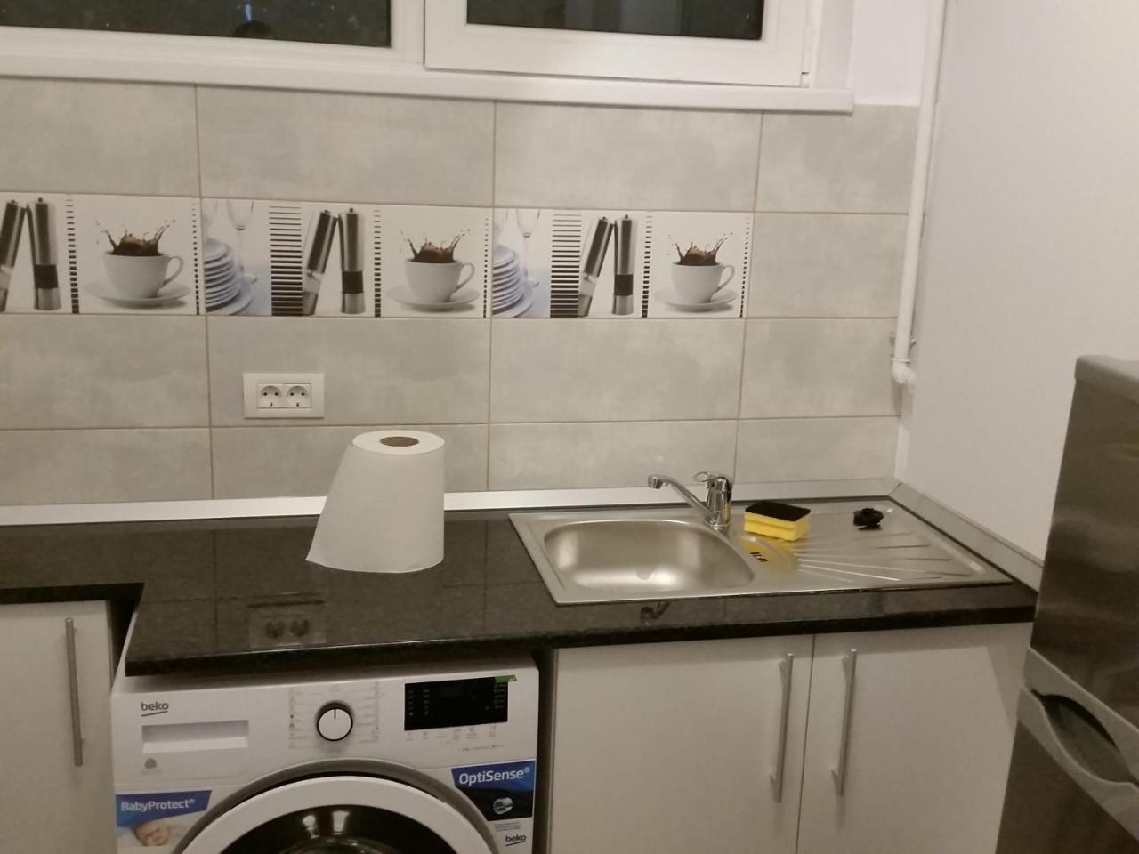 Grozavesti Apartment Near Politehnic Park 부쿠레슈티 외부 사진